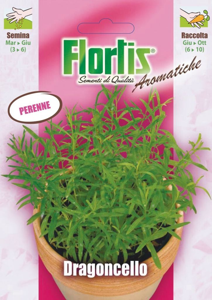 Estragon | Estragonsamen von Flortis