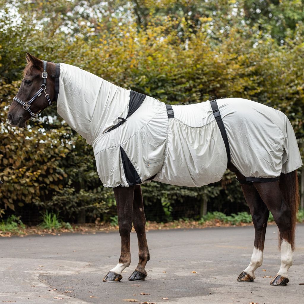 Waldhausen Ekzemerdecke Silbergrau 145 cm