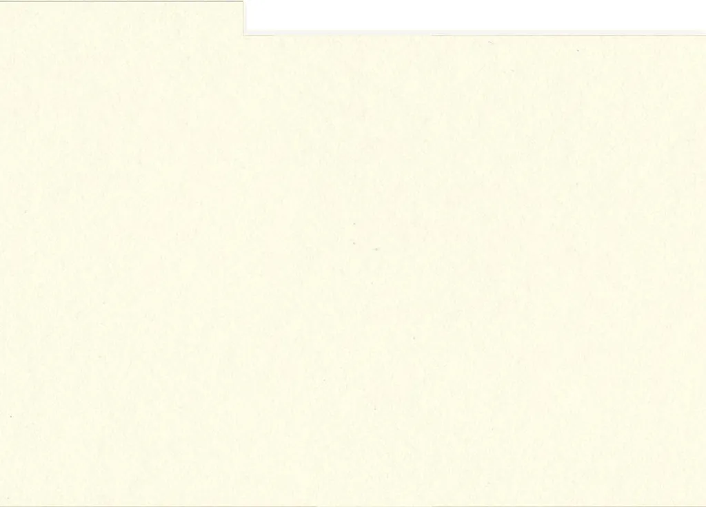 Cartes de Séparation Rigides 15x20 cm HNFD - Papier Ivoire Lisse x10