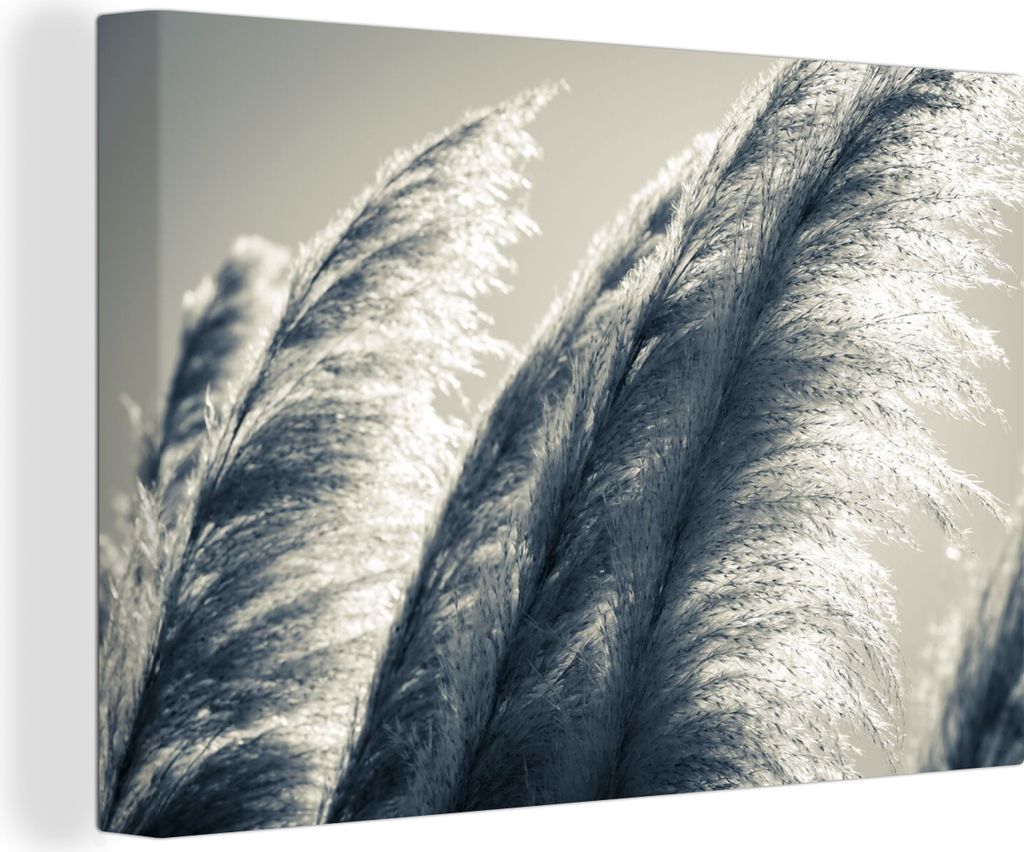 OneMillionCanvasses - Leinwandbilder - 140x90 cm, Pampasgras - Schwarz - Weiß - Natur, Wandbilder Kunstdruck Wanddekoration - Foto auf Leinwand ...