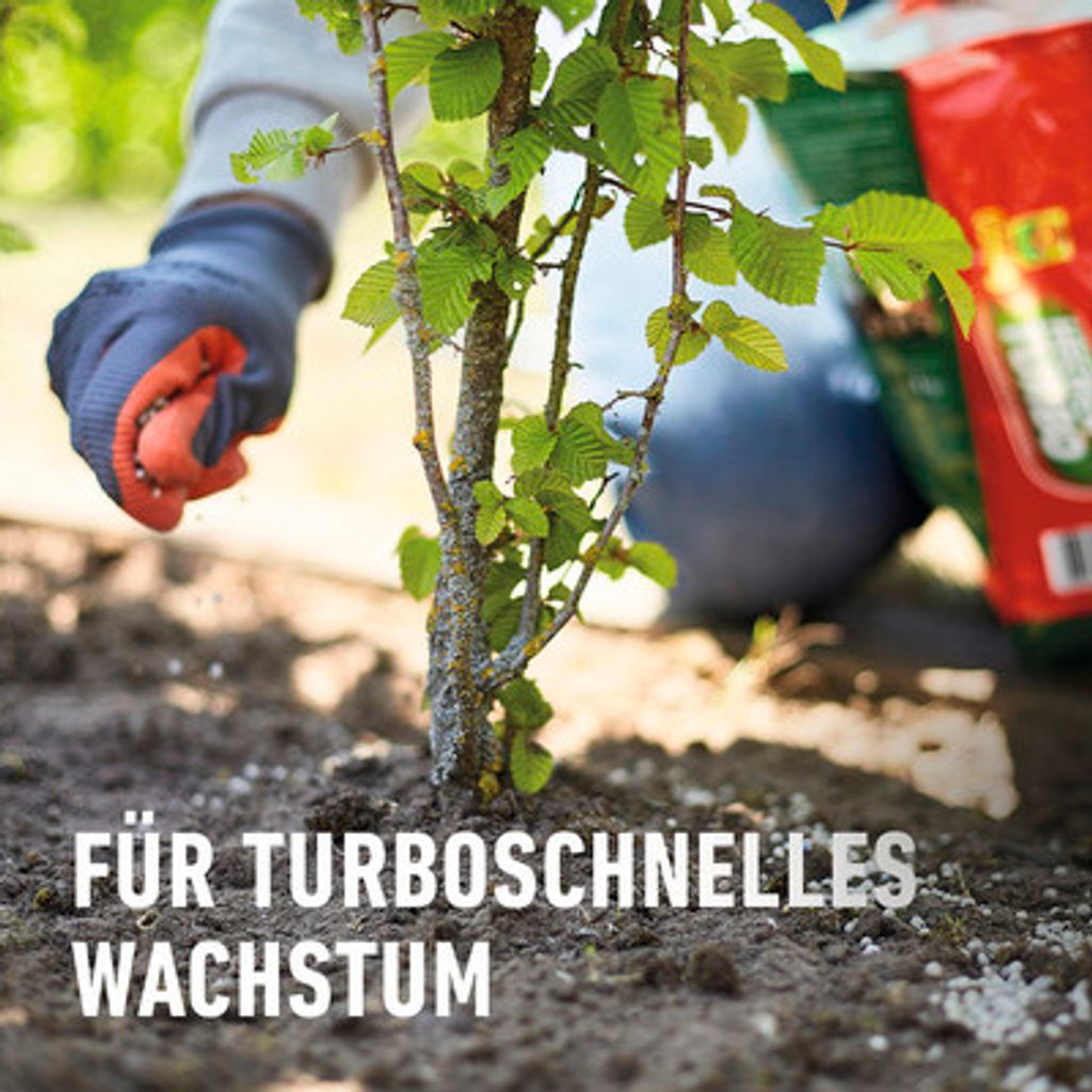 Spezialdnger COMPO Hecken Turbo mineralischer Dnger fr
