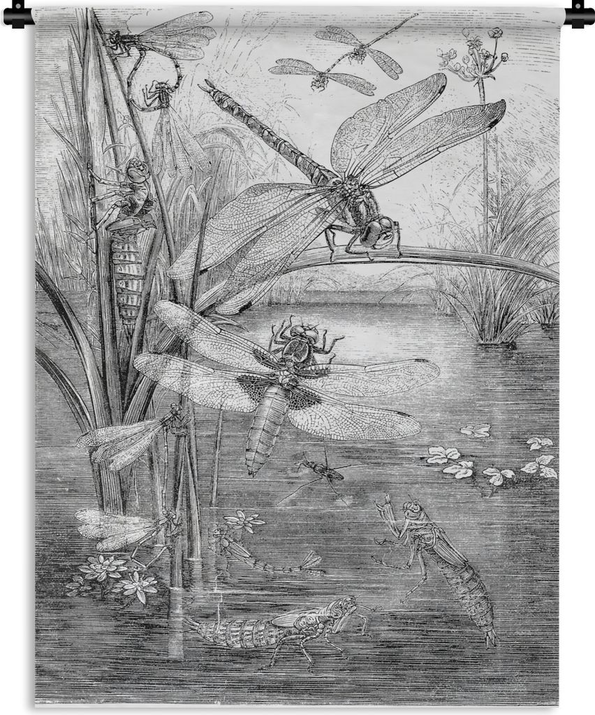 MuchoWow Wandteppich Wandbehang Eine schwarz-weiße Illustration einiger Libellen 150x200 cm Tapisserie Dekoration Wandtuch - Wandaufhängung - M...