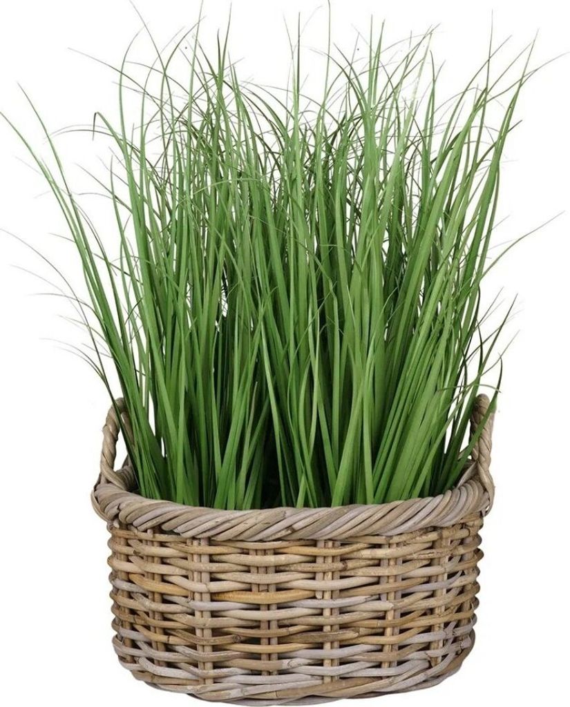 Natur Rattankorb NORDERNEY Kubu Grey ca.50cm Pflanzkorb Griffe