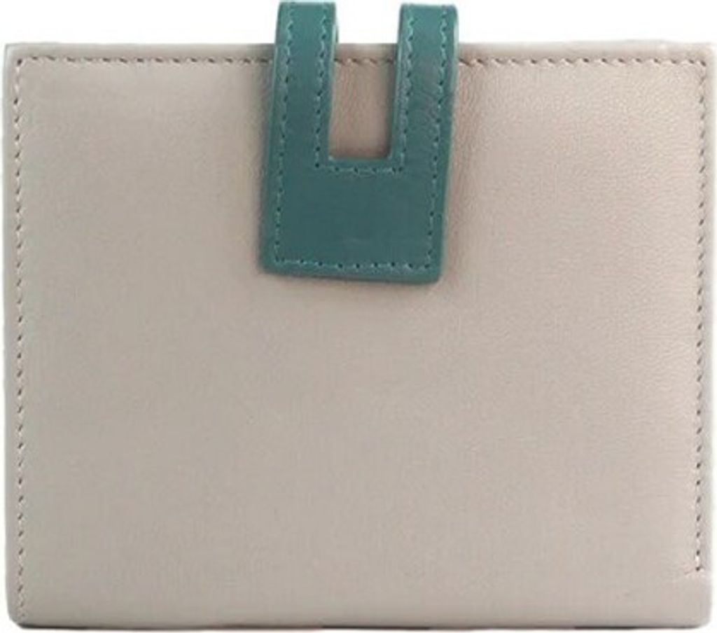Eastern Counties Leather - "Cassie" Leder Brieftasche Kontrasteinsatz EL366 (Einheitsgröße) (Grau/Aquatic-Blau)