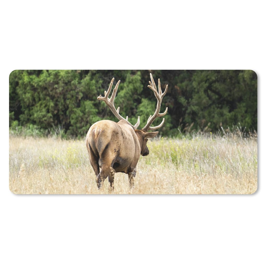 MuchoWow Schreibtischunterlage Hirsche - Gras - Wald 80x40 cm - XXL Mauspad - Gaming Mauspad