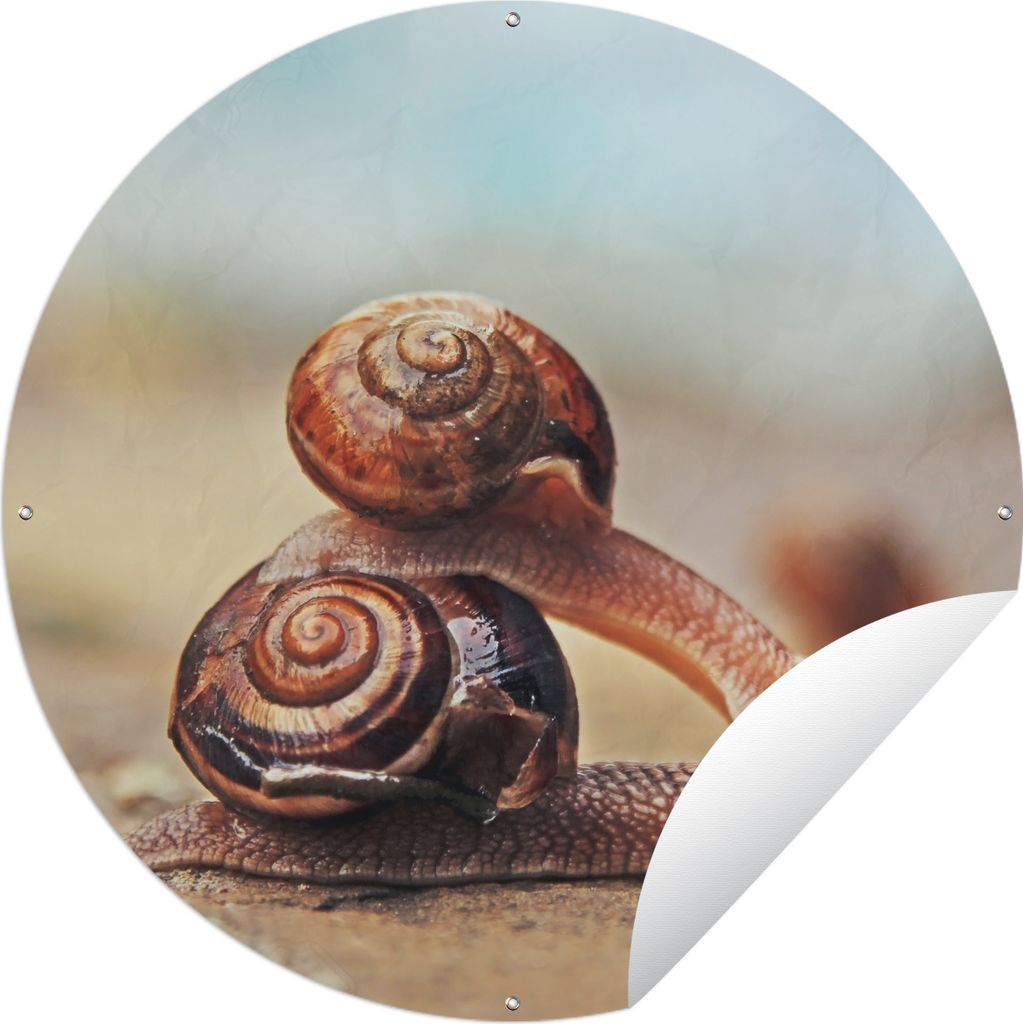 MuchoWow Gartenposter Outdoor-Poster Rund Schnecken - Stein - Tiere Ø 150 cm Gartendeko Rundes Poster draußen