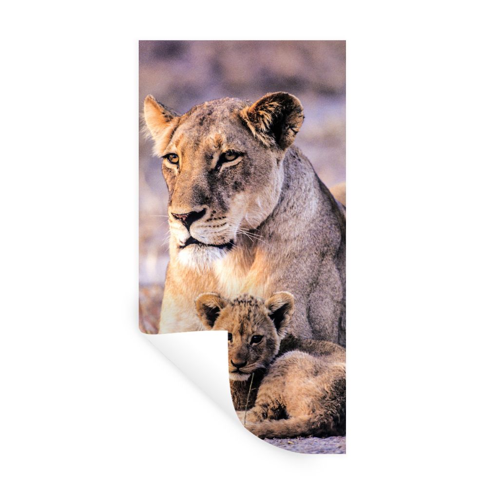 MuchoWow Wandtattoo Wandsticker Wandaufkleber Löwin - Löwe - Junges 60x120 cm Selbstklebend und Repositionierbar - Selbstklebend - Fototapeten