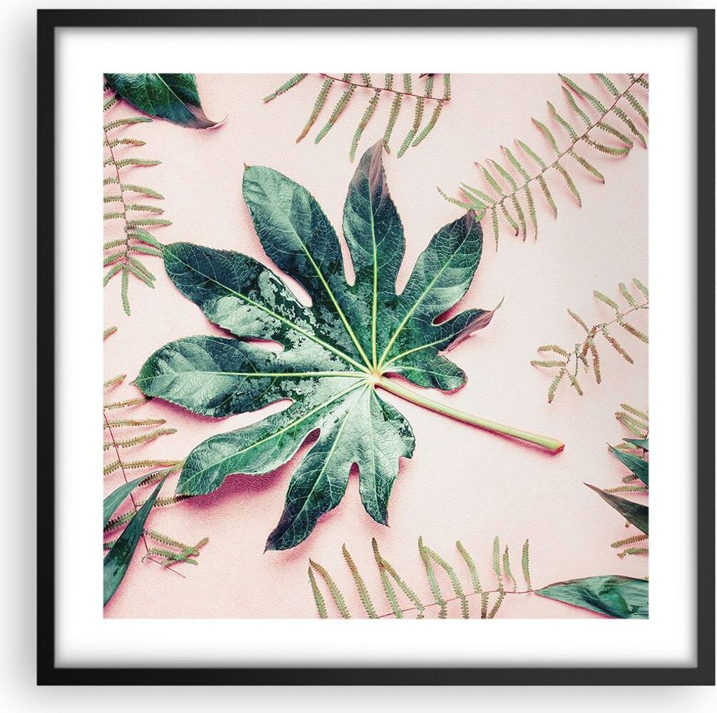 Gerahmtes Poster - Schwarzer Rahmen - Blatt Tropisch Palme - 50x50 cm - Wand Bild - Wanddeko - Wandbilder - Kunstposter - Wandposter - Bilderrahmen...