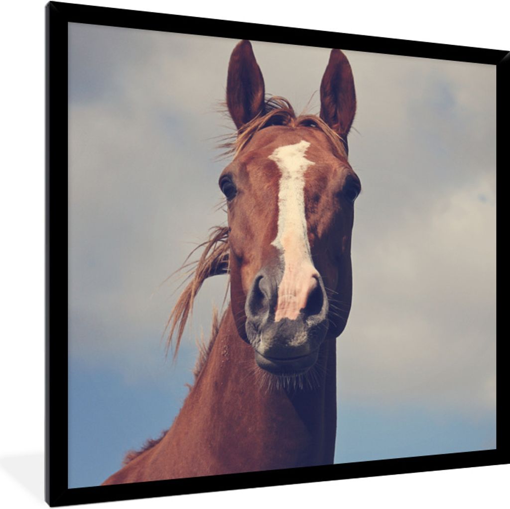 MuchoWow Gerahmtes Poster Pferd - Luft - Blau 40x40 cm - Poster mit Schwarzem Bilderrahmen Wandposter Rahmen Foto Bilder - Mit Rahmen - Wanddekor...
