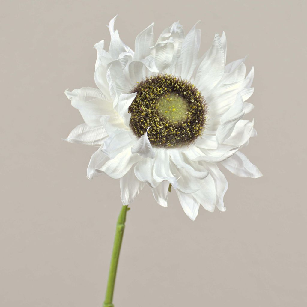 artplants.de Künstliche Blume Sonnenblume Janika, Creme, 60cm, Ø 12cm