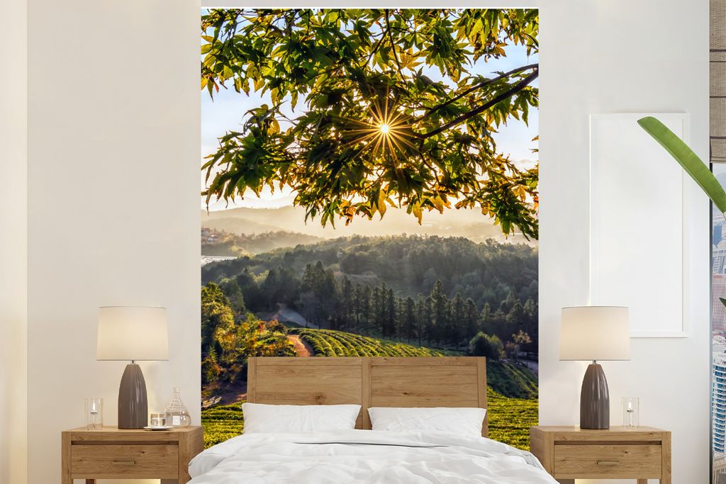 MuchoWow Fototapete für Wohnzimmer oder Schlafzimmer Wandtapete Vinyl Motivtapete Teeplantage in einem bewaldeten Gebiet in Südkorea - 225x350 ...