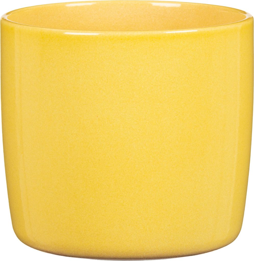 Scheurich Solido 900, Topfpflanzer, Freistehend, Keramik, Gelb, Rund, Drinnen