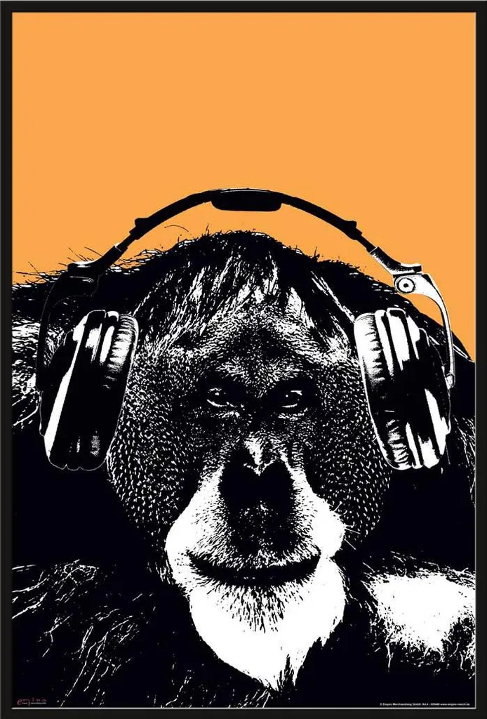 Poster Orang Utan Casque avec Cadre Maxi Shinsuke® Noir en Acrylique