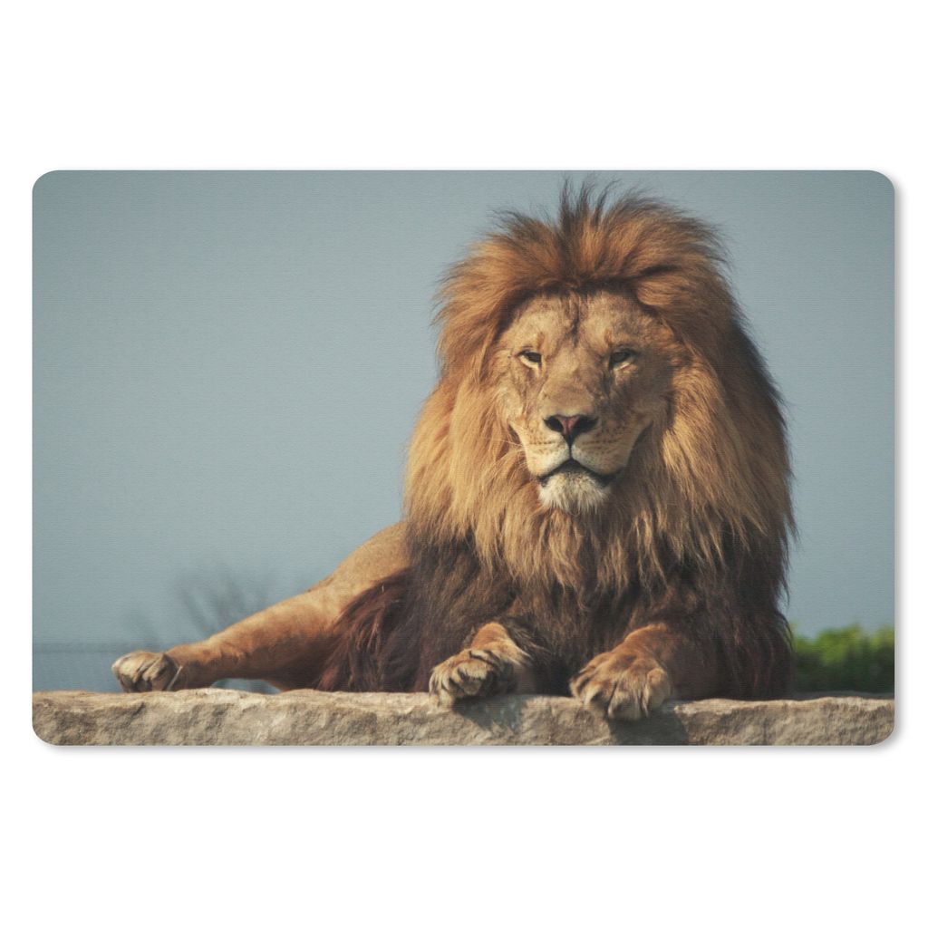 MuchoWow Mauspad Mousepad Löwe - Felsen - Jagd 27x18 cm - Mousepads - Maus Mat - Pad - Mausunterlage - Büroartikel - Desk Matten