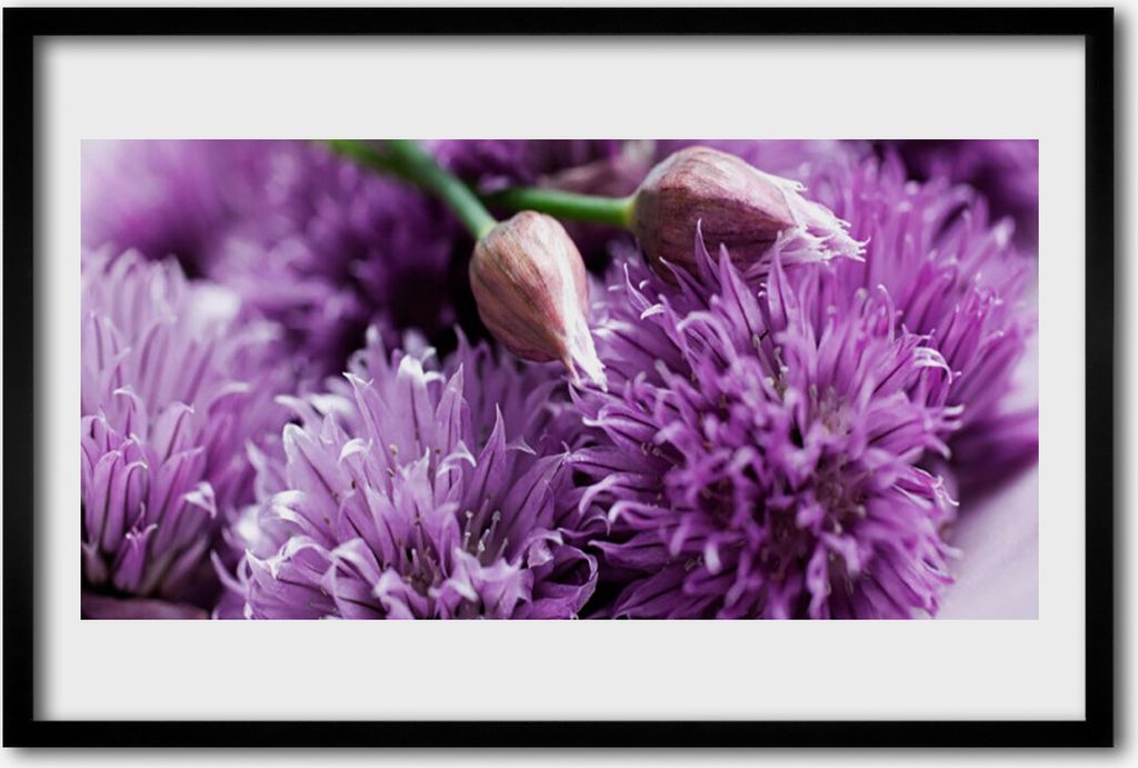 Bild 60x40 MDF-Rahmen Wandkunst Blumen Pflanzen