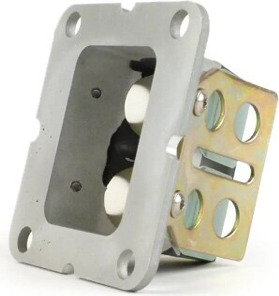 Membrane BGM PRO RD350 avec plaquettes fibre de verre pour Lambretta TS1