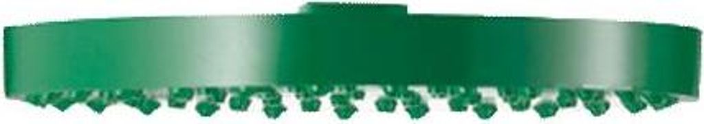 Delabie Brausekopf für Sicherheits-Körperdusche