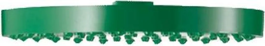 Delabie Soffione Doccia di Sicurezza ABS Verde - Portata 132L | Online