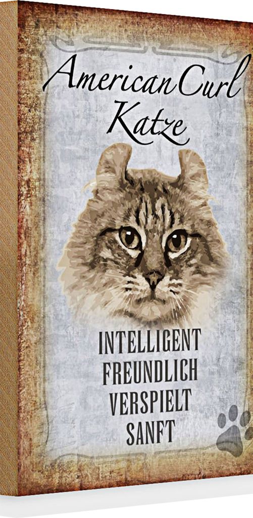 Holzschild Spruch 20x30cm American Curl Katze