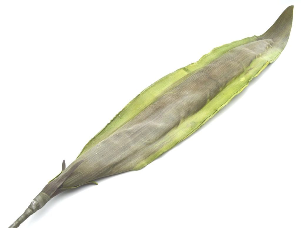 aloe akbar Al-Akbar Coconut Coal  Al Akbar Shisha