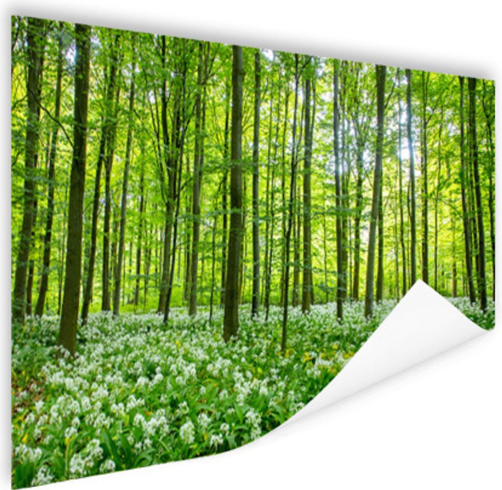 MuchoWow Poster Wald - Bäume - Grün 180x120 cm - Fotoplakat