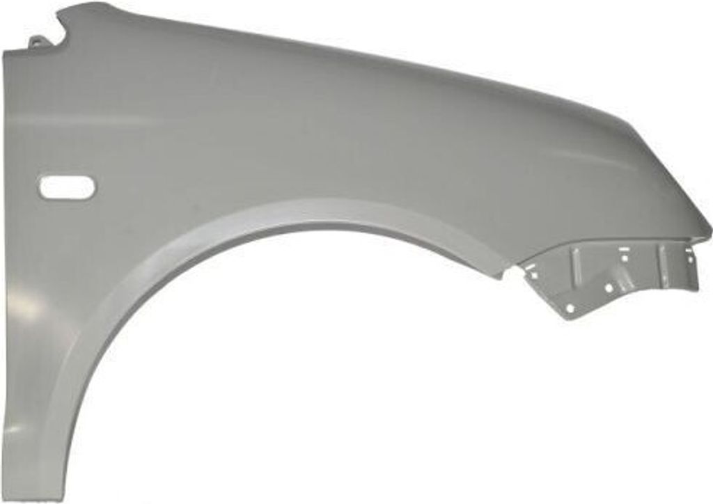 BLIC 6504-04-9506312P Kotflügel Vorne Rechts für VW POLO (9N) Polo Limousine (9A4, 9A2, 9N2, 9A6)