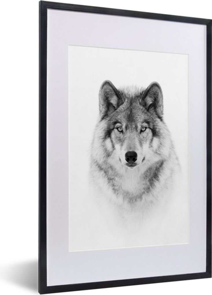 MuchoWow Gerahmtes Poster Wolf - Tiere - Porträt - Weiß 40x60 cm - Poster mit Schwarzem Bilderrahmen Wandposter Rahmen Foto Bilder - Poster in ...