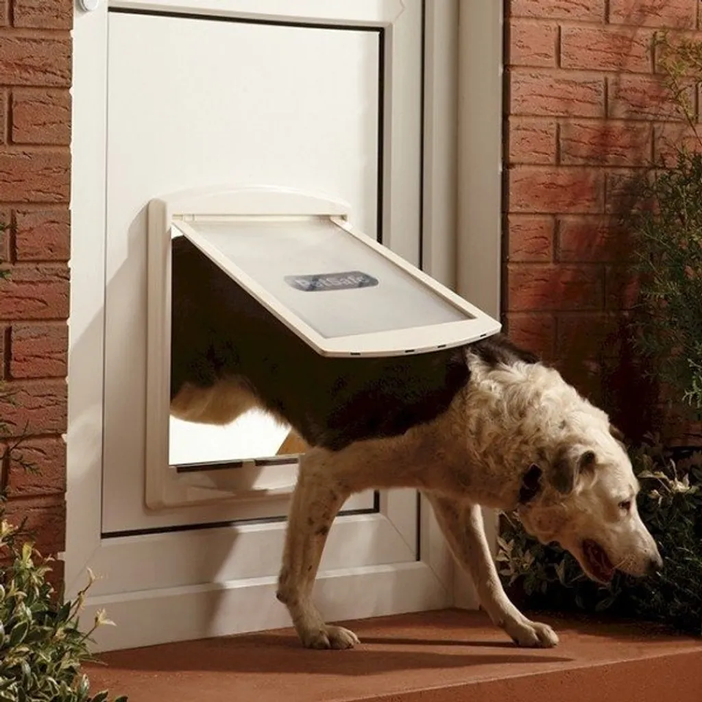 Solution Passage Chien PetSafe pour Grande Taille Battant Clair