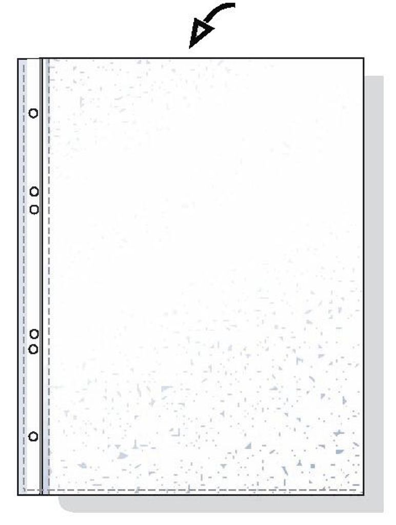 Esselte 56171 Standard Prospekthüllen - genarbt, 0,05 mm, Image du produit 