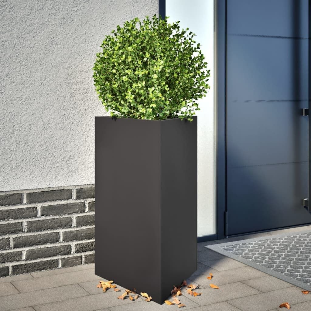 Maison Exclusive - Pflanzkübel 2 Stk. Schwarz Dreieckig 50x43x75 cm Stahl