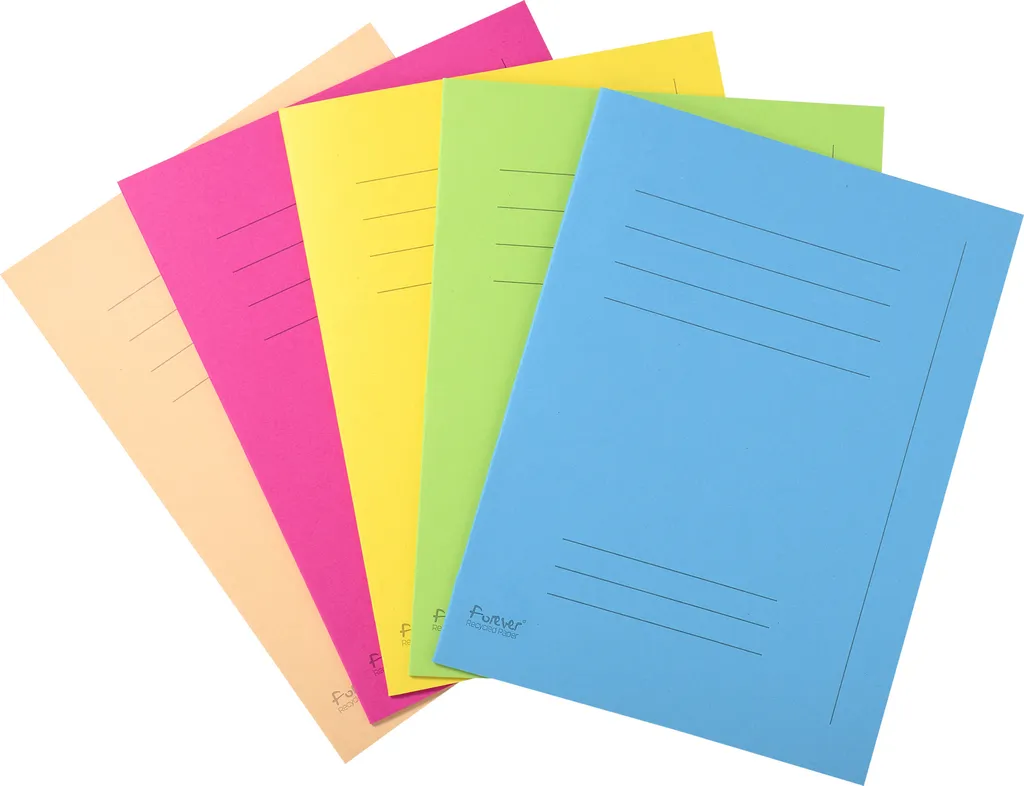 Pochettes de Classement A4 Exacompta 24x32cm pour Archives et Bureaux