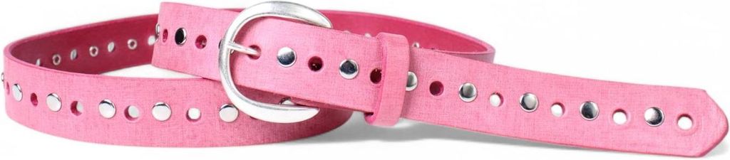 FRONHOFER Best&Timeless hochwertiger Nietengürtel 3 cm, durchgelocht, silber, Naturleder