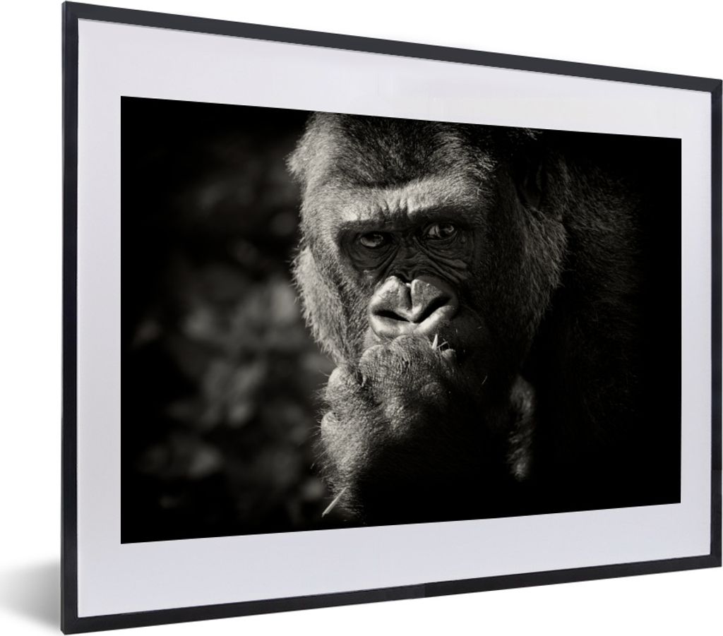 MuchoWow MuchoWow Gerahmtes Poster Tierprofil Gorilla in schwarz und weiß 40x30 cm - Poster mit zchwarzem Bilderrahmen - Bilderrahmen - Poster...