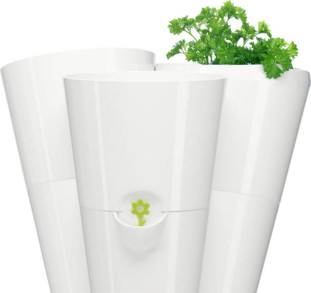 Three white plant pots are arranged together, with one pot containing green herbs.