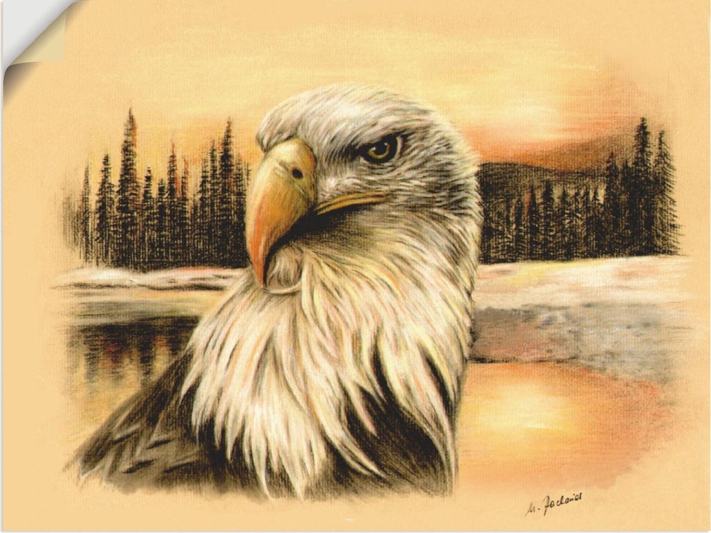 ARTland Wandbild, selbstklebend Weißkopfseeadler handgemalt Produktbild 