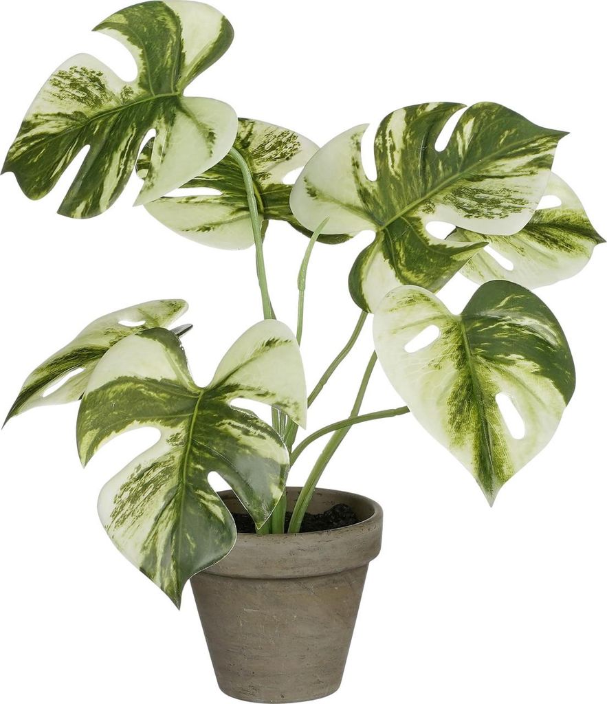 Kunstpflanze Mica Monstera grün in Topf Stan grau Produktbild 