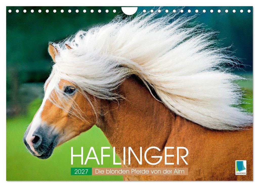 Haflinger: Die blonden Pferde von der Alm (Wandkalender 2027 DIN A4 quer), CALVENDO Monatskalender