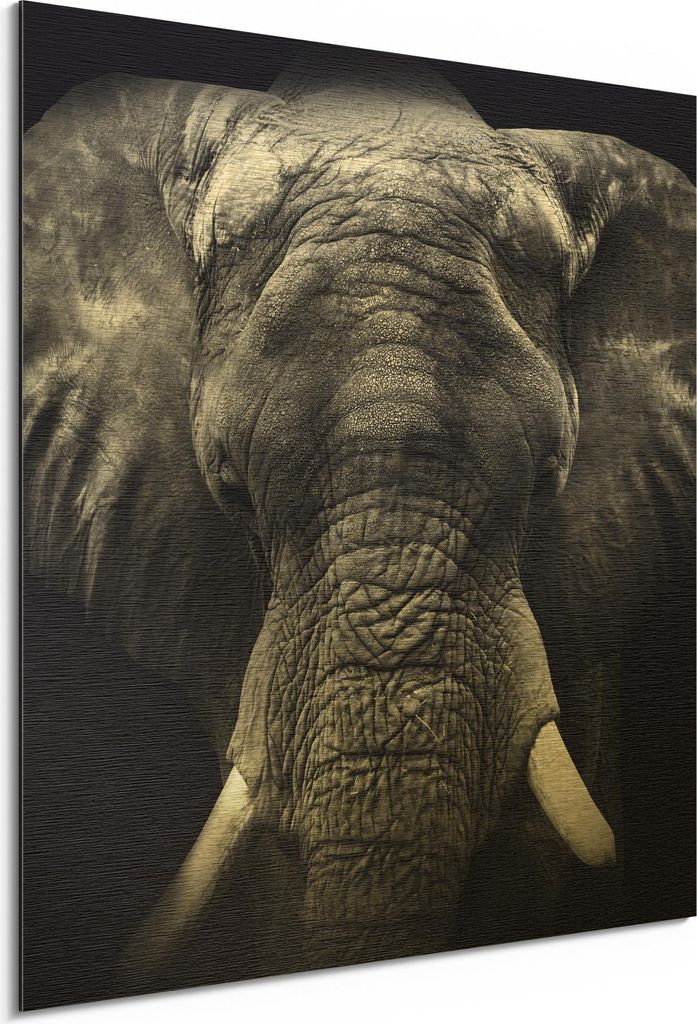 DEQORI Alu-Dibond Bild Gold 30x30 cm 'Der graue Gigant' Wandbild Metall dünn Design