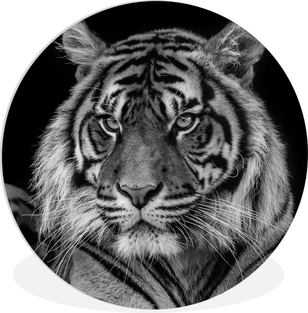 MuchoWow Rundes Wandbild - Runde Bilder Sumatra-Tiger auf schwarzem Hintergrund Ø 30 cm Kreis Wanddekoration Kunststoff - Wandkreis - Wandschmuc...