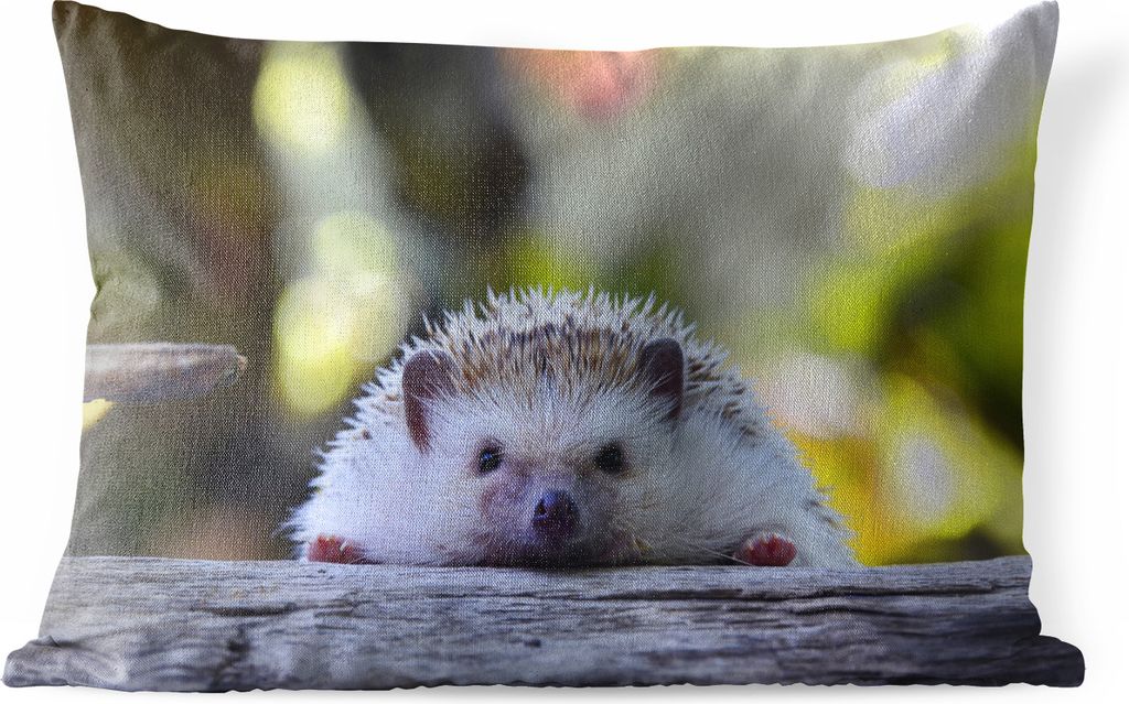 MuchoWow Outdoor Kissen - Igel liegt auf Holz - 60x40 cm - Wetterfest - Lounge Kissen - Zierkissen - Kissen für Innenräume