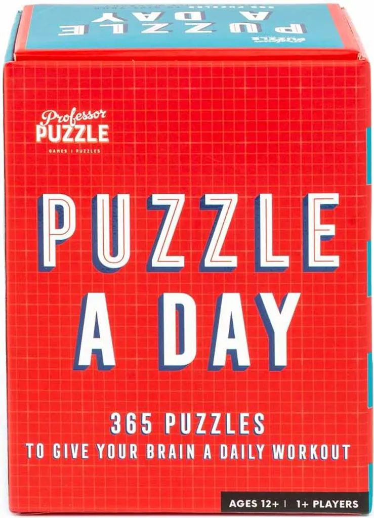 Casse-tête IQ Training Professeur Puzzle 365 Énigmes de Logique Pure