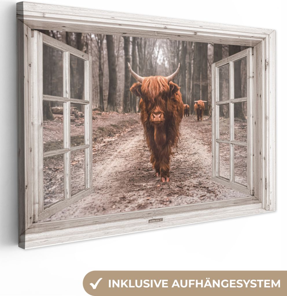 MuchoWow - Leinwandbilder - Ansicht - Schottischer Highlander - Fenster, Wandbild, Wanddeko Bilder Wohnzimmer, 30x20 cm