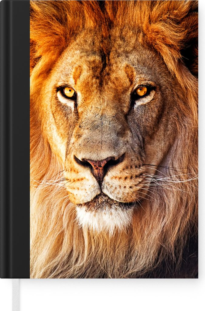 MuchoWow Notizbuch Tagebuch Haushaltsbuch Notebook A5 Löwe - Porträt - Farben - Notizblock - Notizheft - Notebook - Schreibblock - Papier