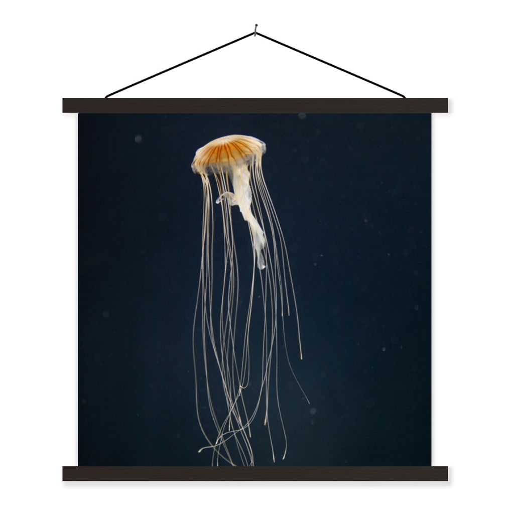 MuchoWow Textilposter Qualle - Meerestier - Tentakel 40x40 cm mit schwarzem Rahmen - Fotos