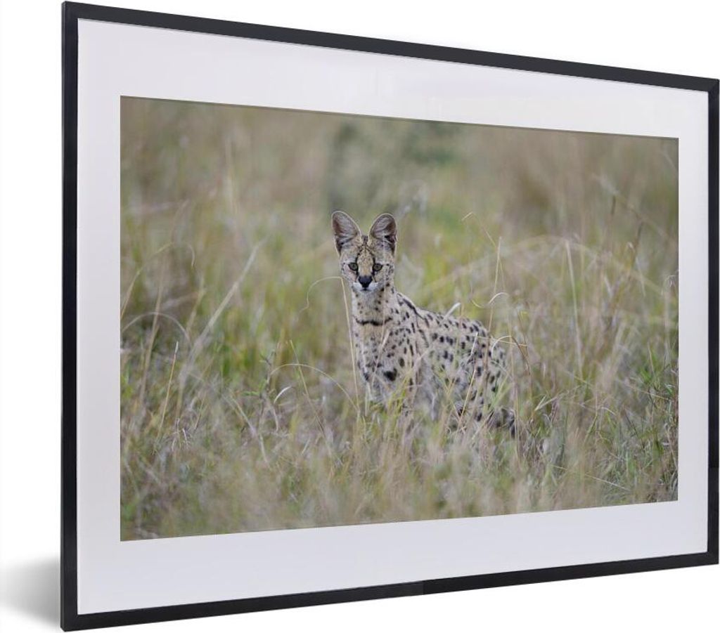 MuchoWow MuchoWow Gerahmtes Poster Versteckter Serval im hohen Gras 40x30 cm - Poster mit zchwarzem Bilderrahmen - Bilderrahmen - Poster im Rahmen