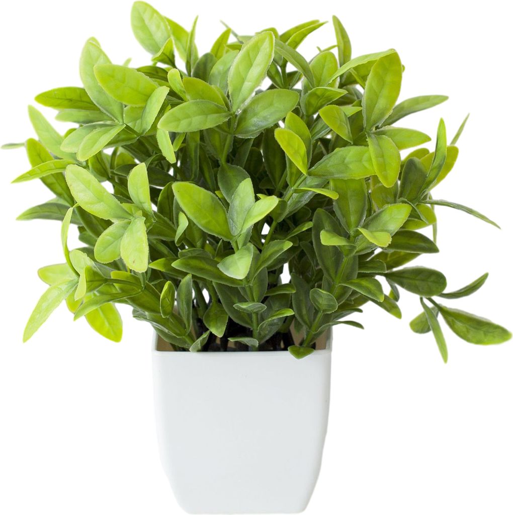 Simulationspflanze Mini, pflegeleicht, wetterbeständig, realistisch, kein Gießen erforderlich, dekorativ, mehrfarbig, Tischdekoration, Topfpflanz...