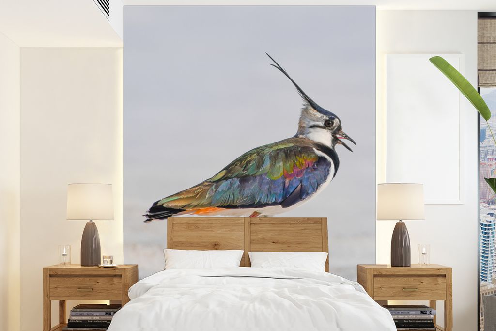 MuchoWow Fototapete für Wohnzimmer oder Schlafzimmer Wandtapete Vinyl Motivtapete Vogel - Tiere - Sand - Kiebitz - 160x220 cm - Bildschirmhinter...