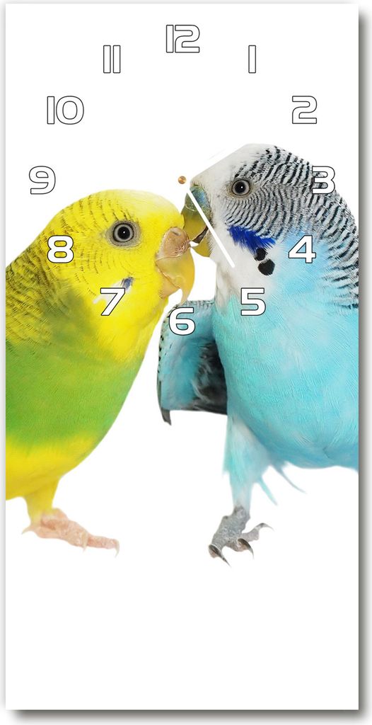 Wanduhr aus Glas – 30x60 cm - Glasbild - Glasuhr - Gehärtetes Glas -Wellensittiche