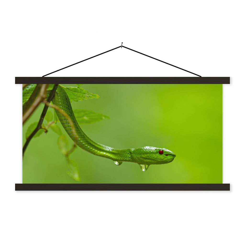 MuchoWow Textilposter Grüne Schlange aus der Nähe 90x45 cm mit schwarzem Rahmen - Klemmleisten