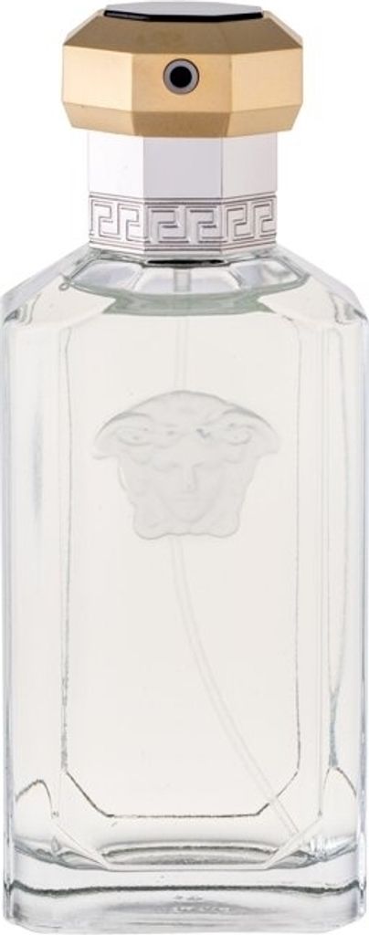Versace - Dreamer EDT 100ml Obrázek produktu 